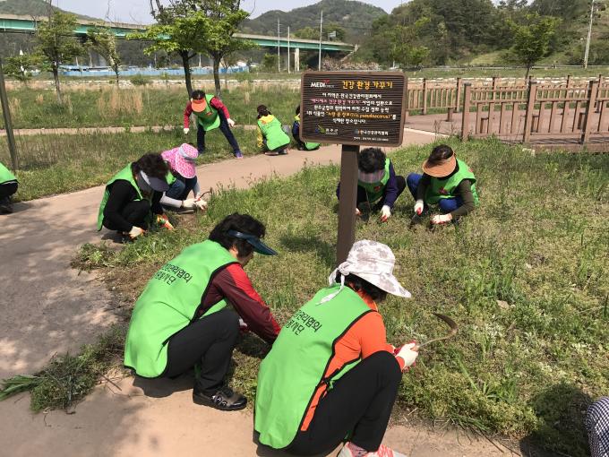 전북 - '메디체크 건강 환경 가꾸기' 노랑붓꽃 식재지 환경정화 실시 사진