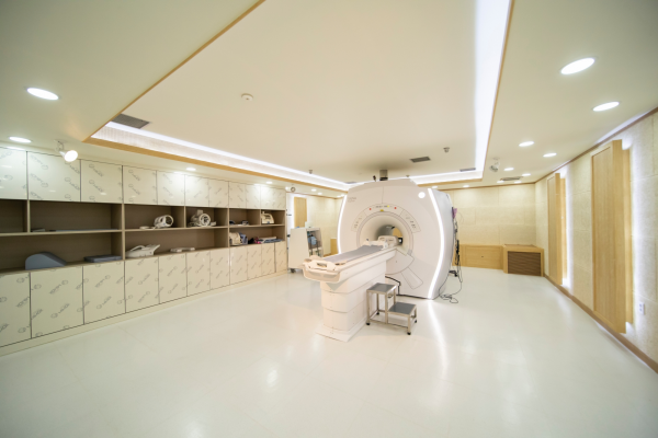 MRI 사진